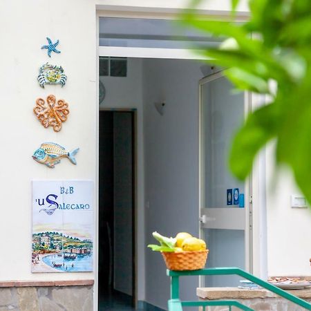 'U Salecaro Bed & Breakfast Agropoli Exterior photo